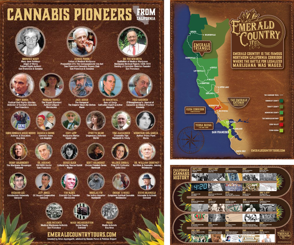 infographic-image-collage
