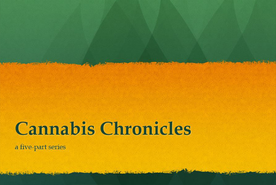 the-cannabis-chronicles-image